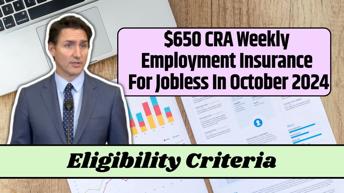 $650 CRA Weekly Employment Insurance For Jobless In October 2024