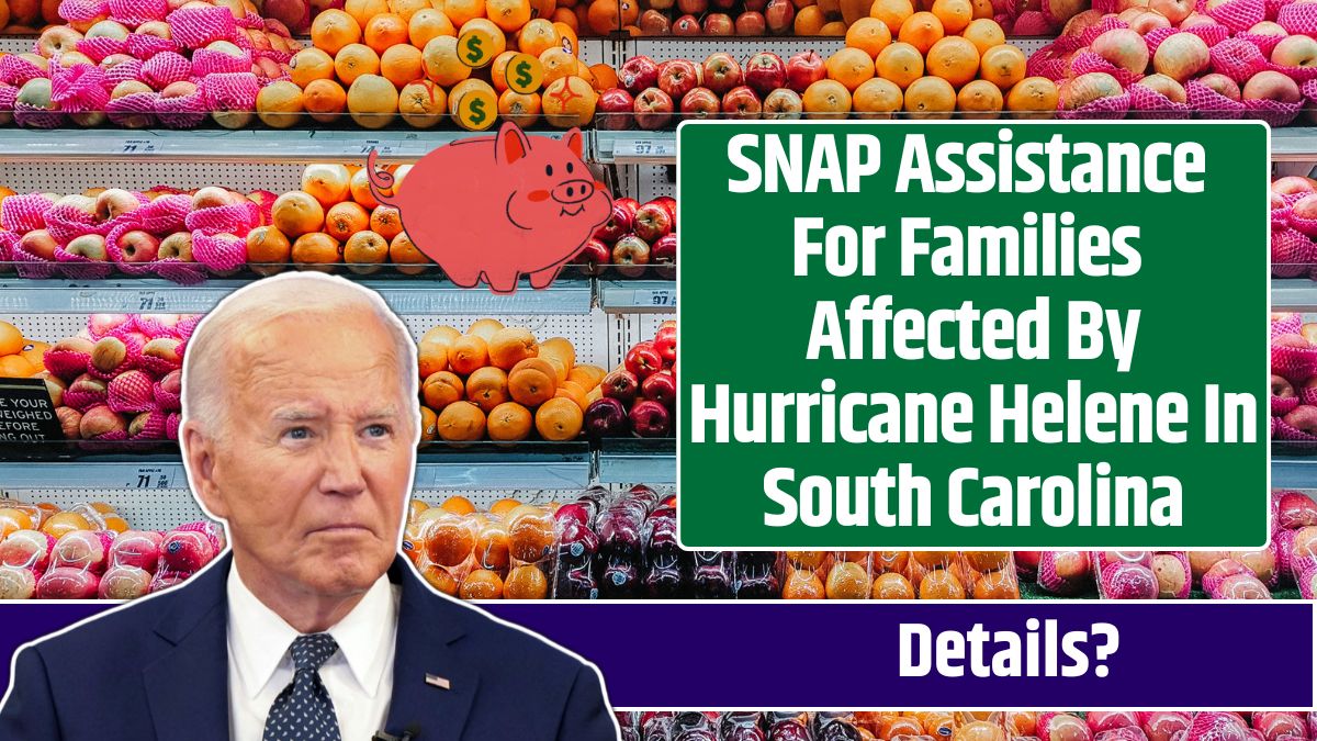 SNAP Assistance For Families Affected By Hurricane Helene In South Carolina